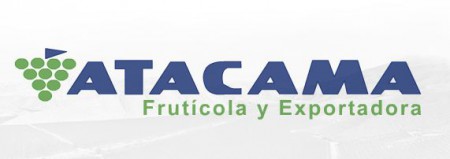 Empresa especializada en la producción de Uva de Mesa con gran diversidad de variedades y tiempos de cosecha.